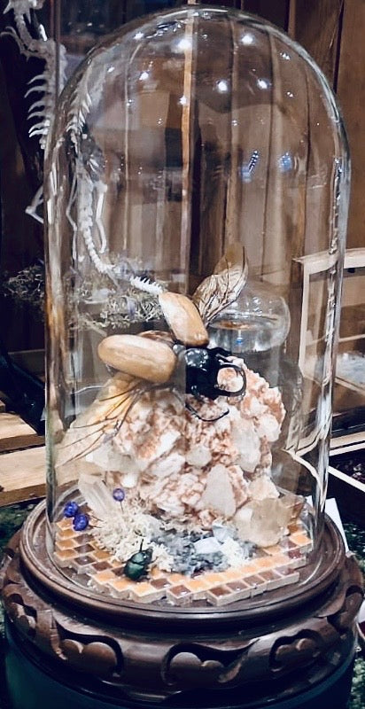 grote antieke stolp met eupatorus gracilicornis zittend op microgranaat