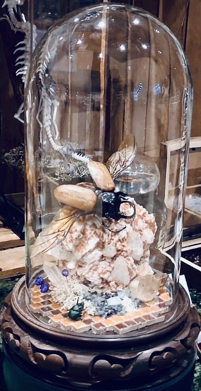 Gemstone Insect Displays / Bugs & Stones / Edelstenen en insecten - Opgezette Werelden