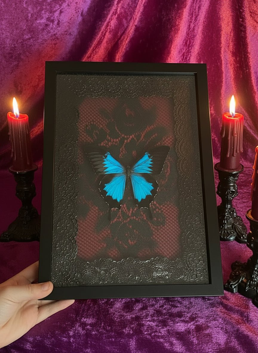 Donker & mystiek / Dark & Mystical - Opgezette Werelden