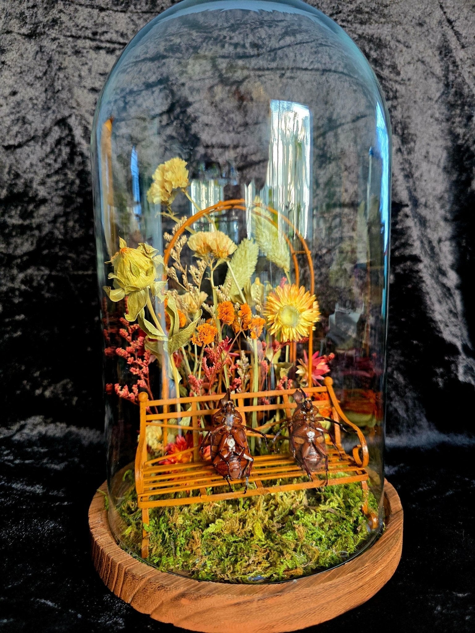 Humoristische taferelen / Playful Scenes - Opgezette Werelden