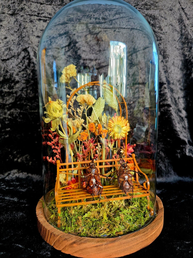 Humoristische taferelen / Playful Scenes - Opgezette Werelden