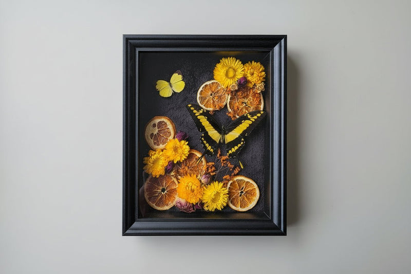 Kaders / Frames - Opgezette Werelden