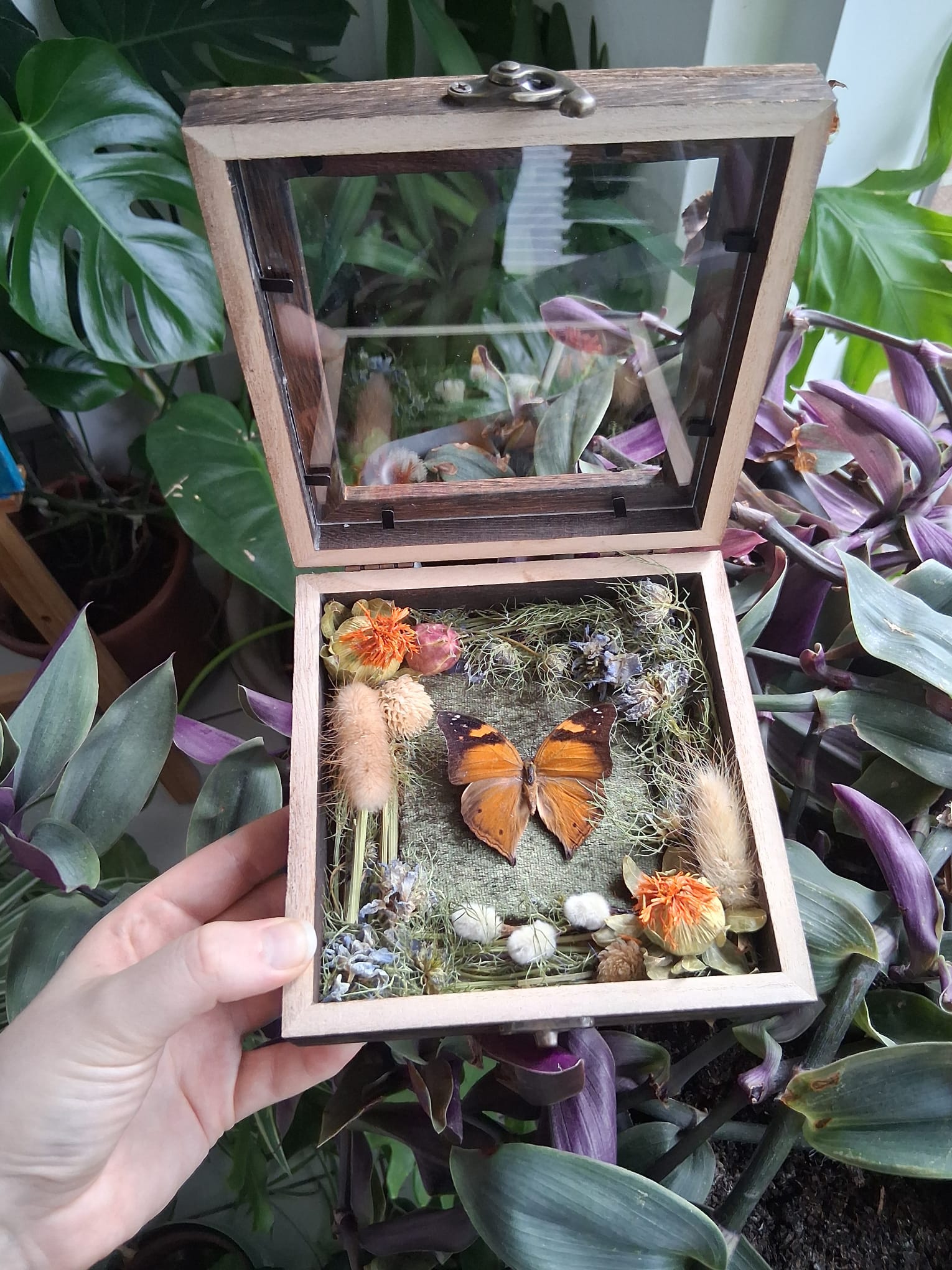 Botanische displays / Botanical Decor - Opgezette Werelden