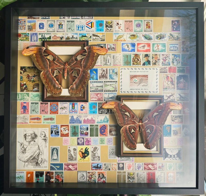 Vintage curiosa / Vintage Curiosities - Opgezette Werelden