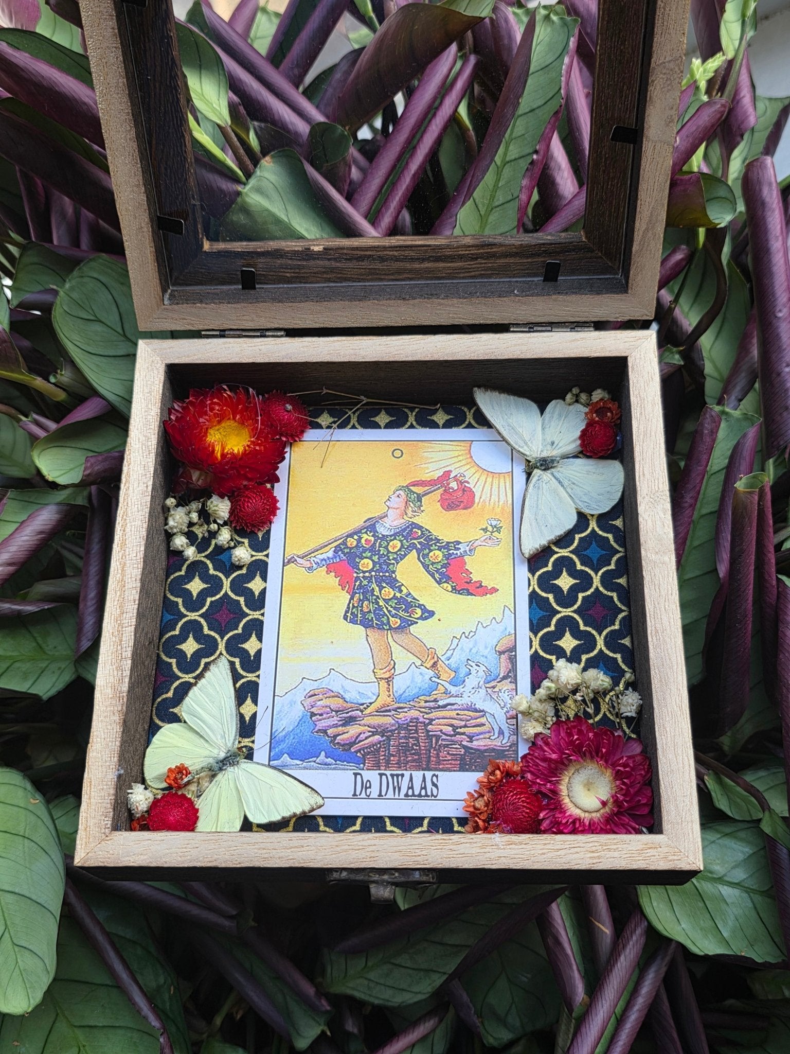 Appias albina vlinders in opbergkader met tarotkaart de dwaas - Opgezette Werelden