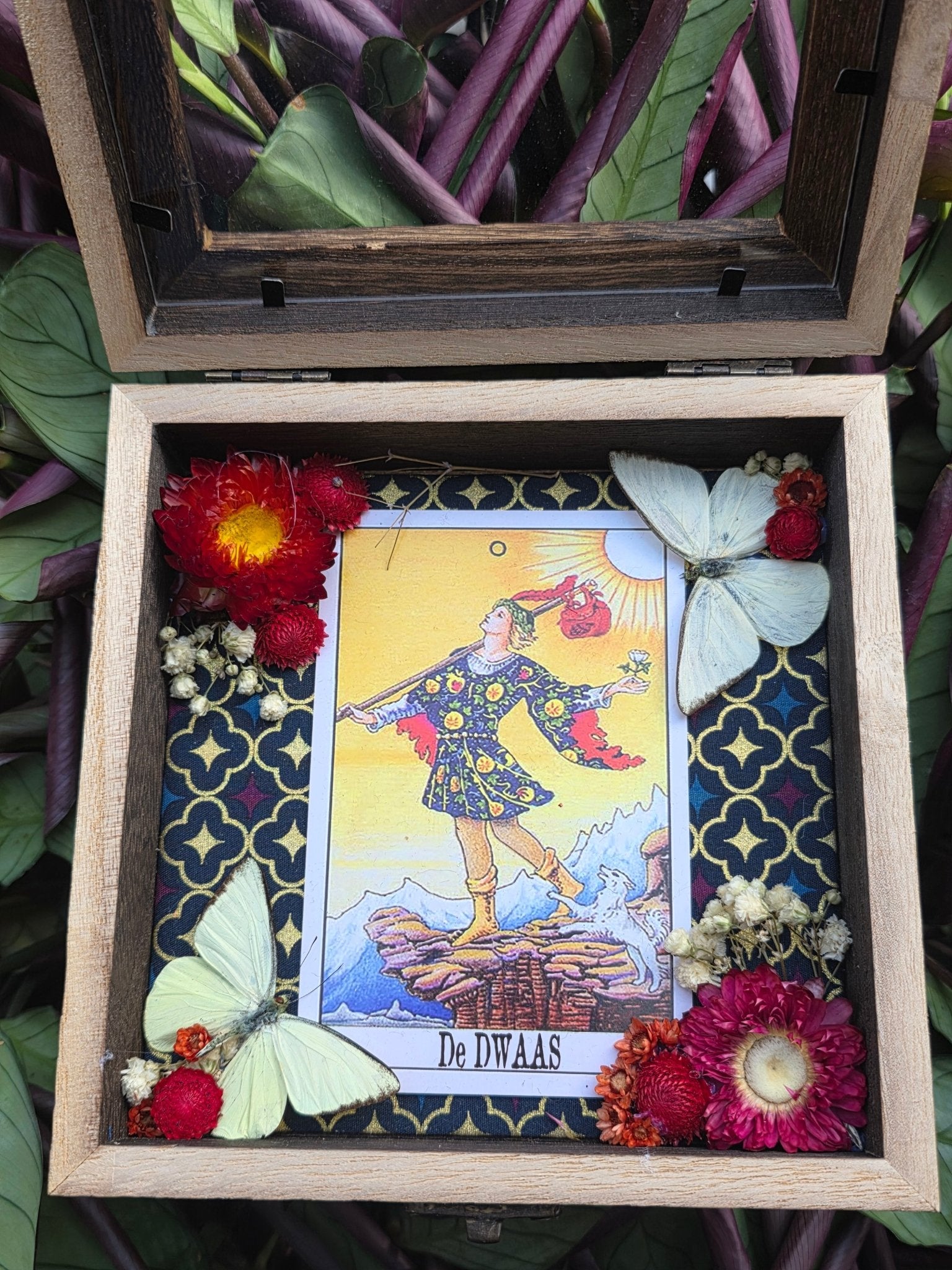 Appias albina vlinders in opbergkader met tarotkaart de dwaas - Opgezette Werelden