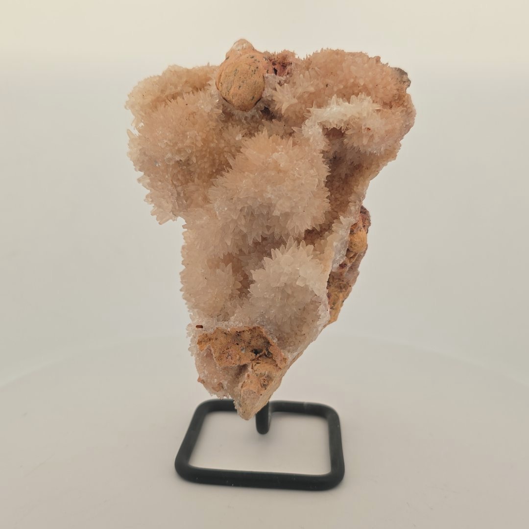 Aragoniet / dog tooth calciet op standaard (13 × 9 cm) - Opgezette Werelden