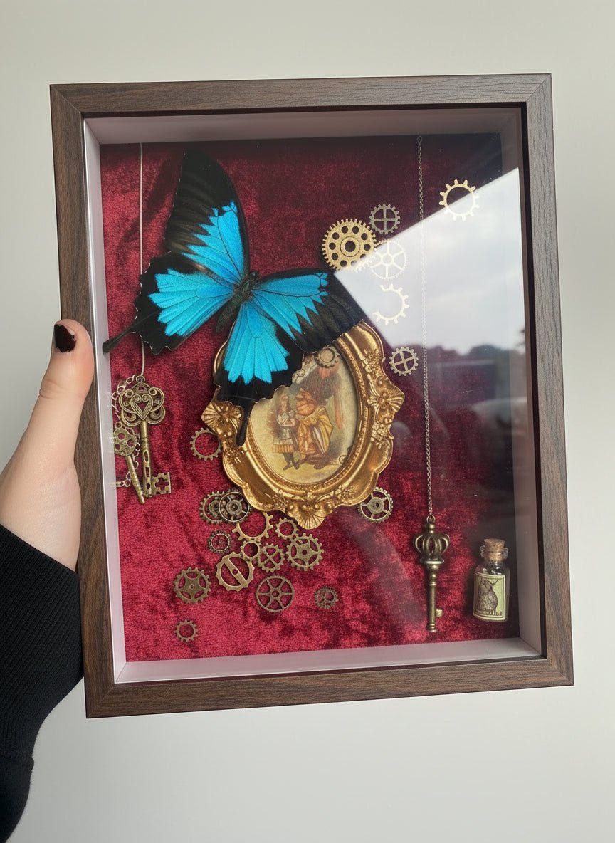 Papilio Ulysses Ulysses in Alice in Wonderland inspired frame - Opgezette Werelden