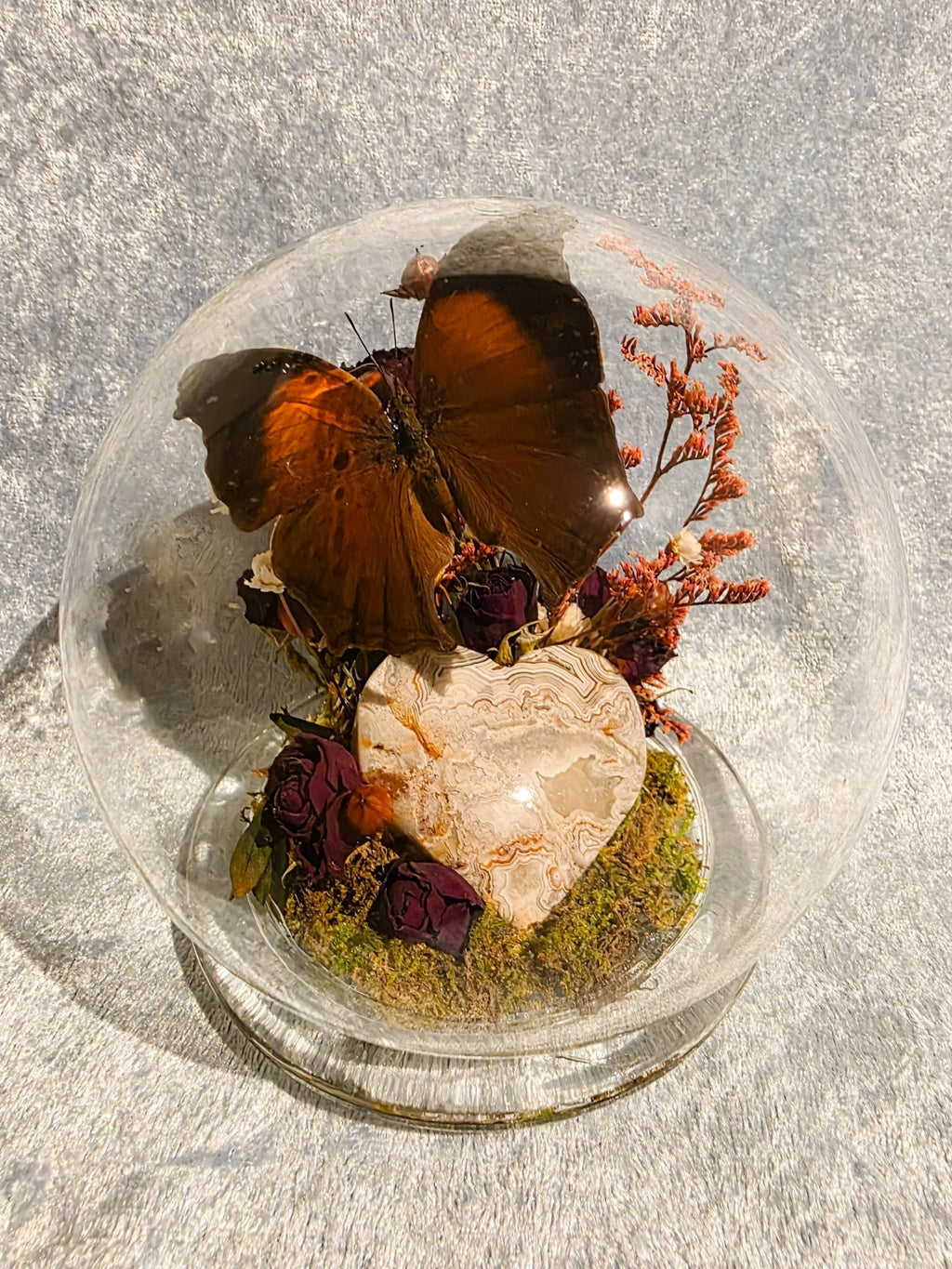 Salamis cacta met mexican lace agate hart in bol stolp - Opgezette Werelden