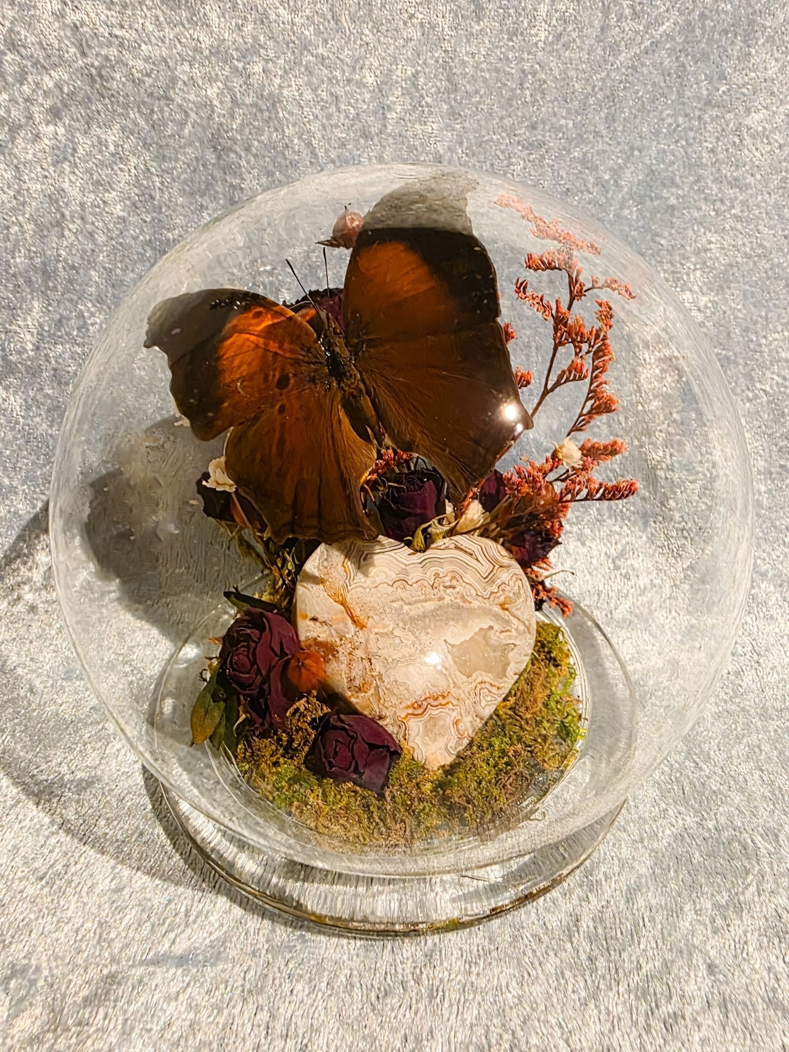 Salamis cacta met mexican lace agate hart in bol stolp - Opgezette Werelden