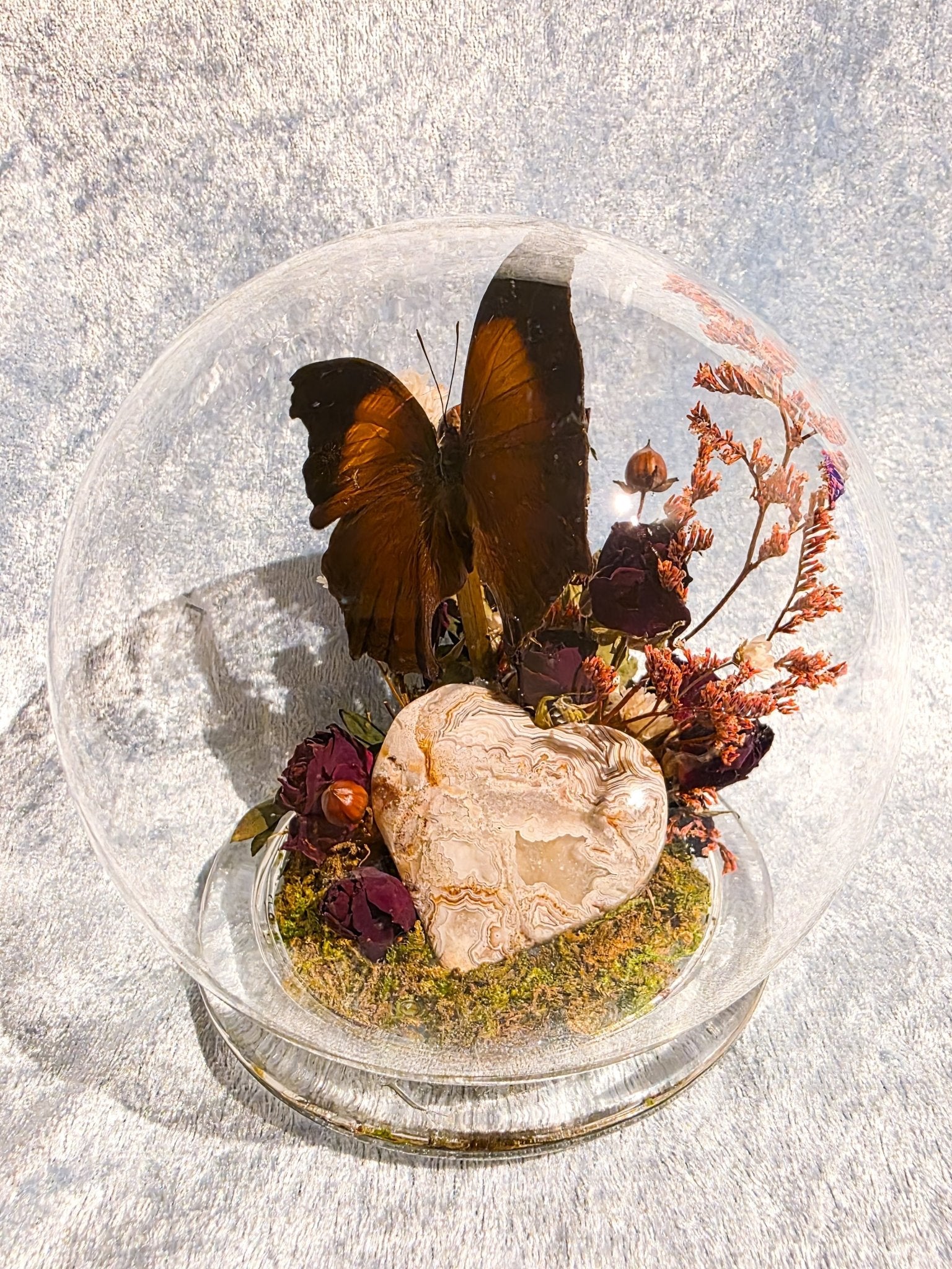 Salamis cacta met mexican lace agate hart in bol stolp - Opgezette Werelden